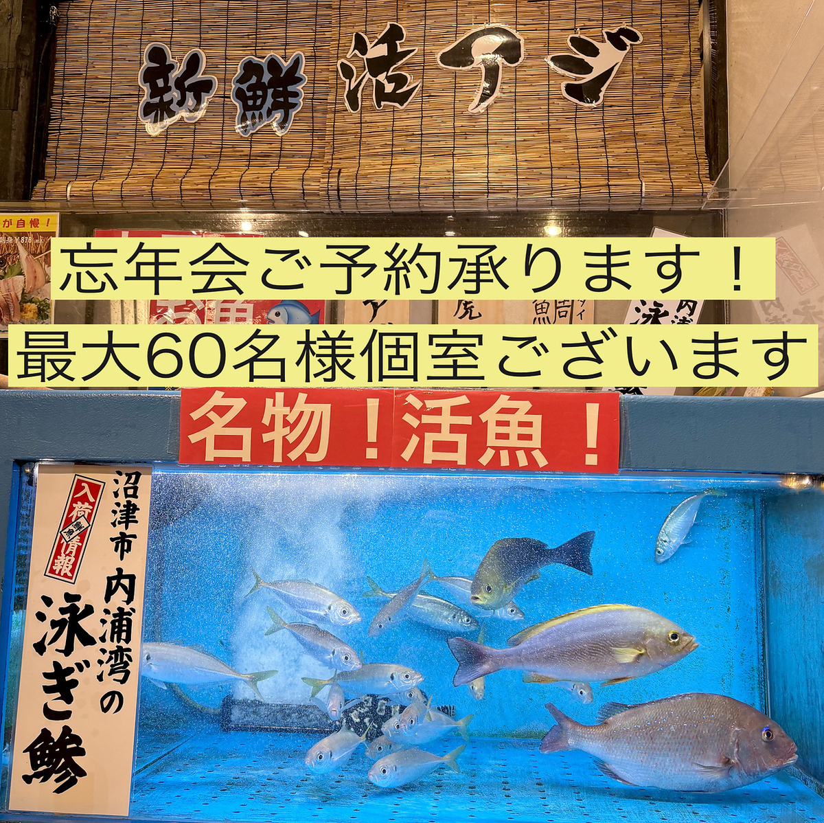 如果您想在松戶品嚐美味的魚…那就去松戶東口附近的 Hananomai 吧！