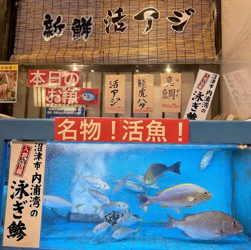 我们供应的鱼都是直接从餐厅内的鱼缸里捕捞出来的，非常新鲜。
