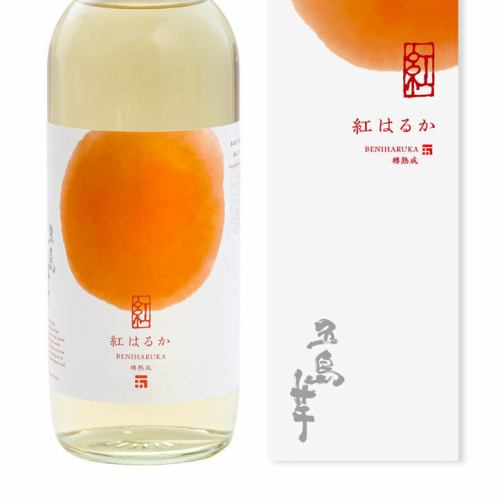 五島芋　紅はるか（グラス）25°