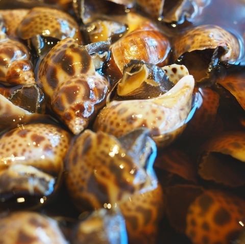 貝のうま煮(バイ貝または姫サザエ)