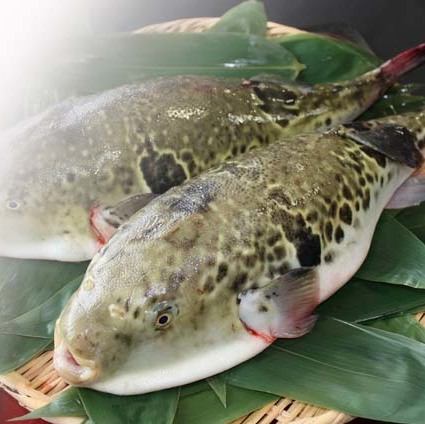 冬の味覚!!　長崎自慢の逸品『ふぐ』コース