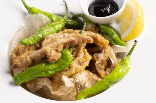 スルメイカのフリート