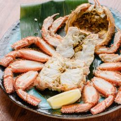 털 게 자모 정규