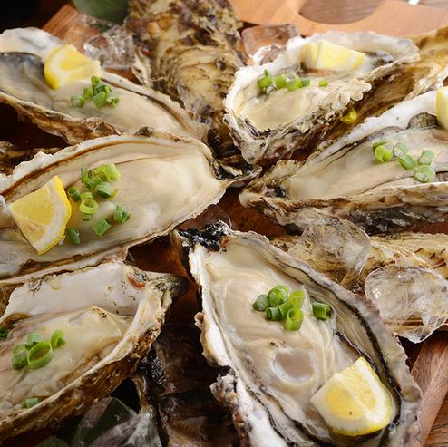新鮮な牡蠣や本日のカルパッチョが美味しいシーフード料理店!