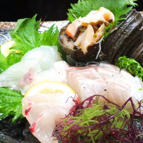 江田島産の鮮魚