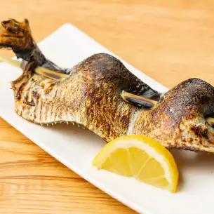 鯡魚