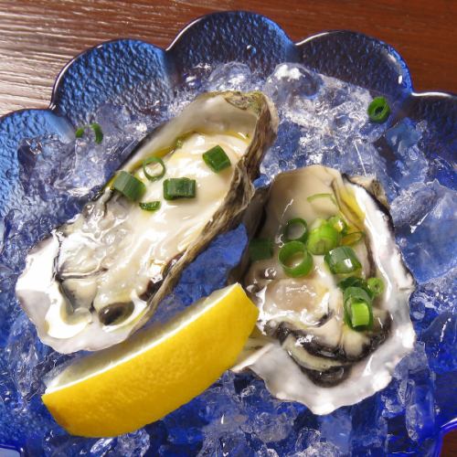 Raw oysters