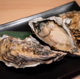 兵庫県産 生牡蠣
