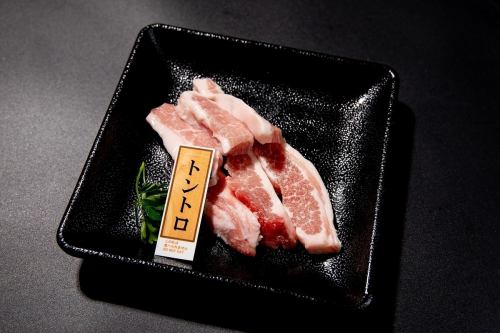 Tontoro (salt, sauce, spicy miso)