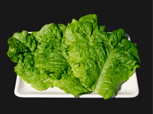 生菜