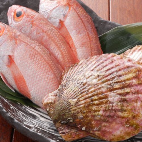 新鮮魚類直接從豐洲運抵，精心烹調，展現匠心技藝。