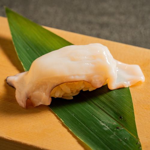 章鱼