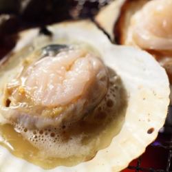 活2年　ほたて（焼き）