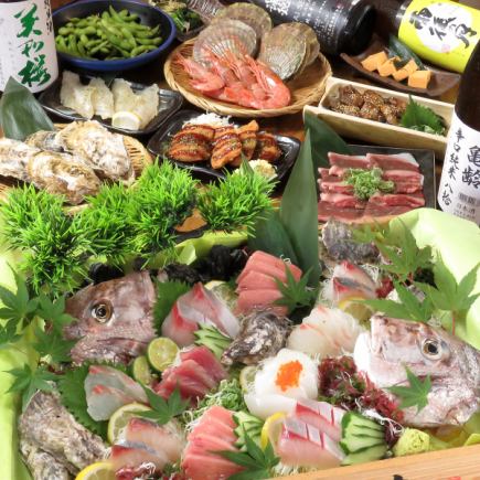 豪快刺身5種盛り、特上コウネの炙り焼き等全10品と2時間飲み放題の贅沢コース！6500円（税込み）