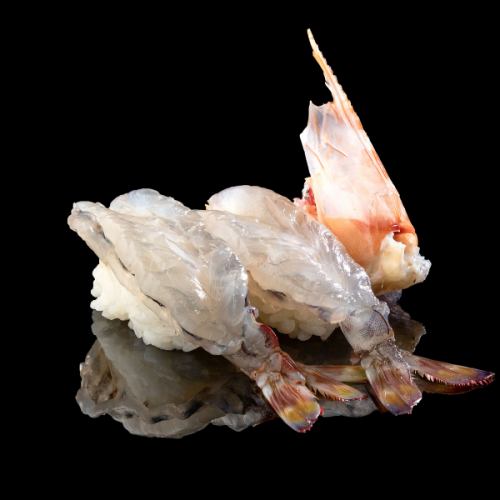 【握り】車海老/甘海老/海老　各