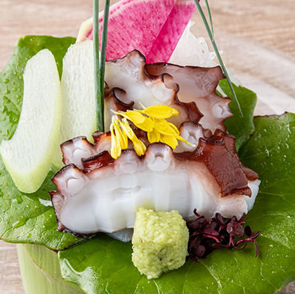 Akashi octopus sashimi