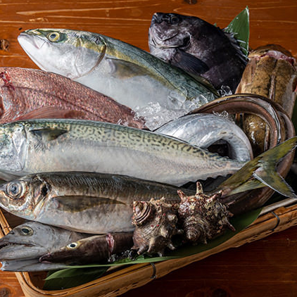 Today's seafood from Awaji Yura fishing port