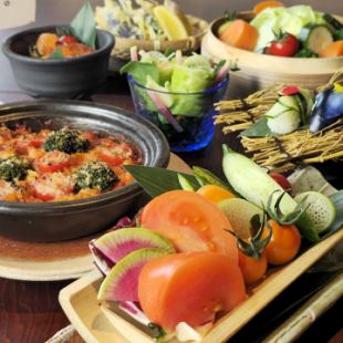 야채만으로 마음도 몸도 채워진다.채식 코스 5,000엔(음방부 7,000엔)