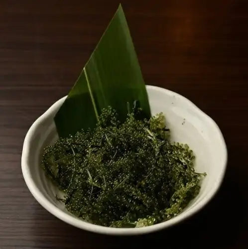 海ぶどう