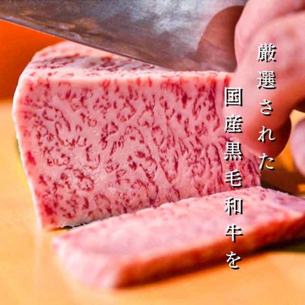 当日OK！1番人気！和牛カルビなど◎オススメ宴会コース全12品【120分飲み放題付き】