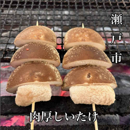 しいたけ