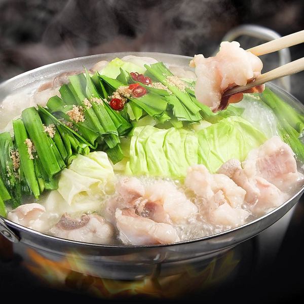 【歓送迎会◎】旬鮮魚４種×熊本馬刺し２種×博多もつ鍋orホルモン鉄板焼きなど全11品『博多コース』5500円
