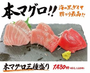 Assortment of three kinds of bluefin tuna
