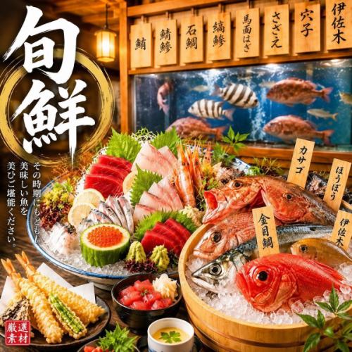 【直接来自丰洲市场】我们的骄傲与喜悦：新鲜时令鱼
