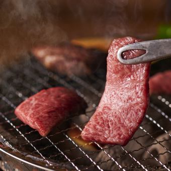 【120分飲み放題付※90分L.O.】ちょこっと焼肉コース