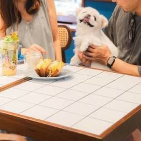 店内までワンちゃん連れOK