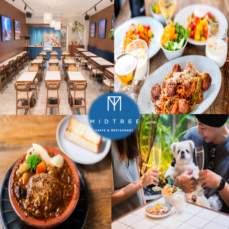 代官山の隠れ家で、特別なひとときを。名物料理×サプライズ演出♪