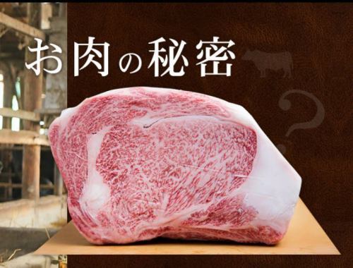 Sendai beef served in cattle