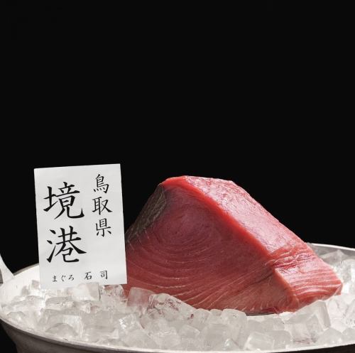 Bluefin tuna