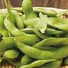 茹でたて枝豆