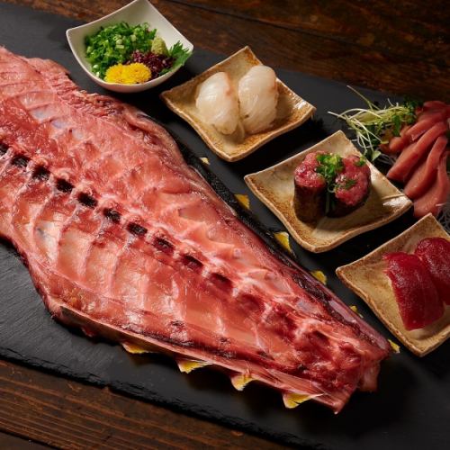 Giant tuna belly