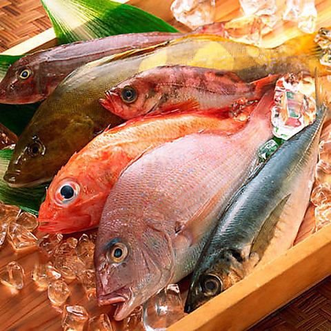 일본 근해에서 자란 신선한 아침 마감 생선을 도요 스 시장 직송