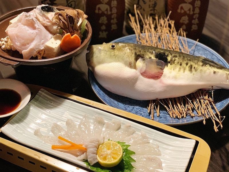 [Fugu Savory/Ceramic Grill Course] 7 dishes in total, 2 hours of all-you-can-drink included / 8,000 yen (tax included)