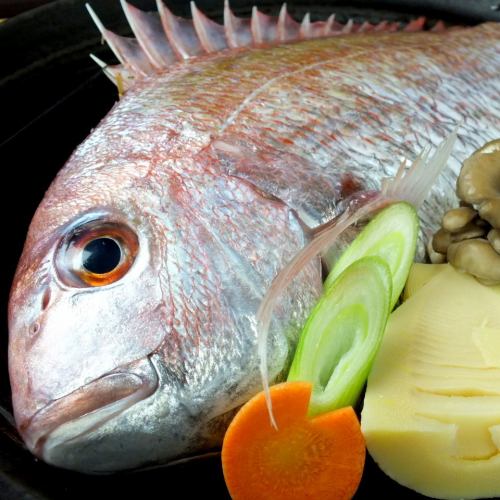 【1인 1접시 회석 코스】전 8품·2시간 음료 무제한 포함/6,000엔(부가세 포함)