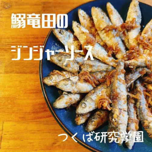 【鰯竜田のジンジャーソース】

生姜をたっぷり使って
日本酒に合う肴に🍶

オイルにたっぷりの生姜千切りと
醤油やお酢を効かせてソースにしました

ハーブを入れたりしてアレンジも⭕️

#つくば　#茨城県　#研究学園　#筑波大学　　#グルメ　#茨城グルメ　#つくばグルメ　#居酒屋　#つくば居酒屋　#壽家　#おばんざい　#肉　#酒場　#おつまみレシピ　#日本酒　#クラフトビール　#健康　#筋トレ　#おうち時間　#おうち居酒屋　#料理　#レシピ　#グルメ好きな人と繋がりたい　#居酒屋好きな人と繋がりたい　#美容　#japan  #ibaraki #tsukuba