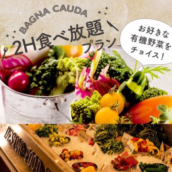 【食べ放題バーニャカウダ】素材マーケットの有機野菜から自分でChoice！2h食べ放題プラン2500円