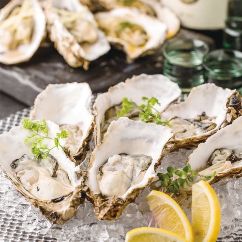 Eating and comparing oysters (raw / grilled) 2 types