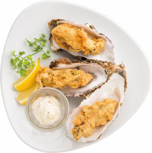 Large oyster fry with tartar sauce
