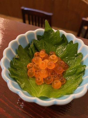 Salmon roe pickled in soy sauce