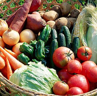 厳選素材を活かしたお料理