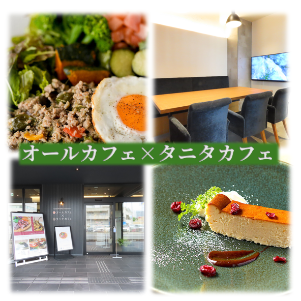 野菜を楽しむ健康志向メニューと広々空間のカフェです