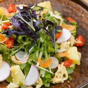有機野菜と鶏胸肉、自家製マヨネーズのサラダ
