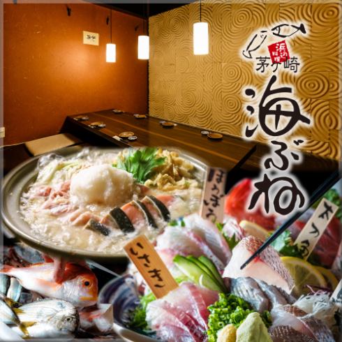 湘南の地魚、神奈川の地野菜や地酒を日々提供する地産地消の海鮮居酒屋