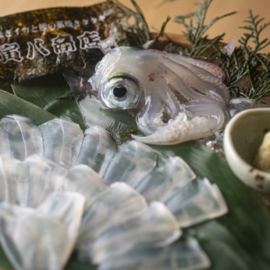 [Specialty] Live squid 100g <Direct delivery from Ogi City, Yamaguchi Prefecture> Live squid is transported by land at any time!