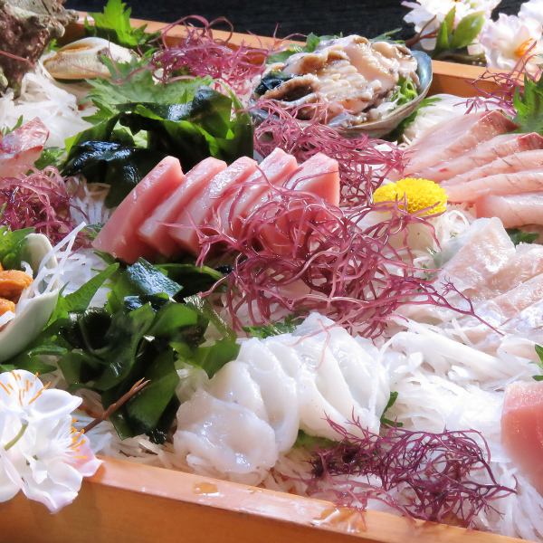 《Goto Islands direct delivery》 Various sashimi / market price