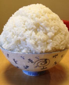 Rice (small) (medium) (large) (extra large)